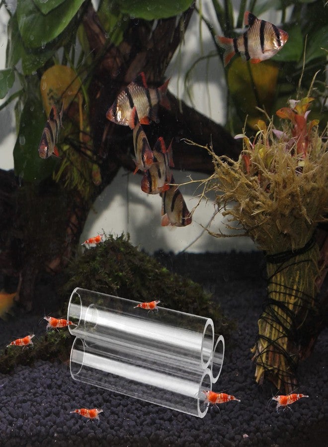 WEAVERBIRD 3-Tube Fish Shrimp Feeder - Acrylic Transparent Breeding Tube & Shelter for Aquarium Fish Tank Decorations - Image 5